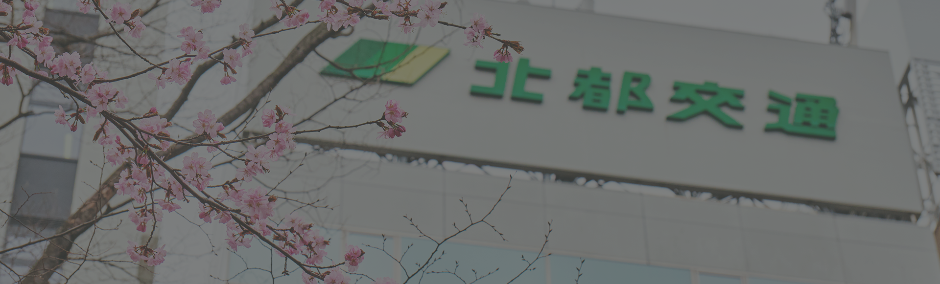 研修制度背景